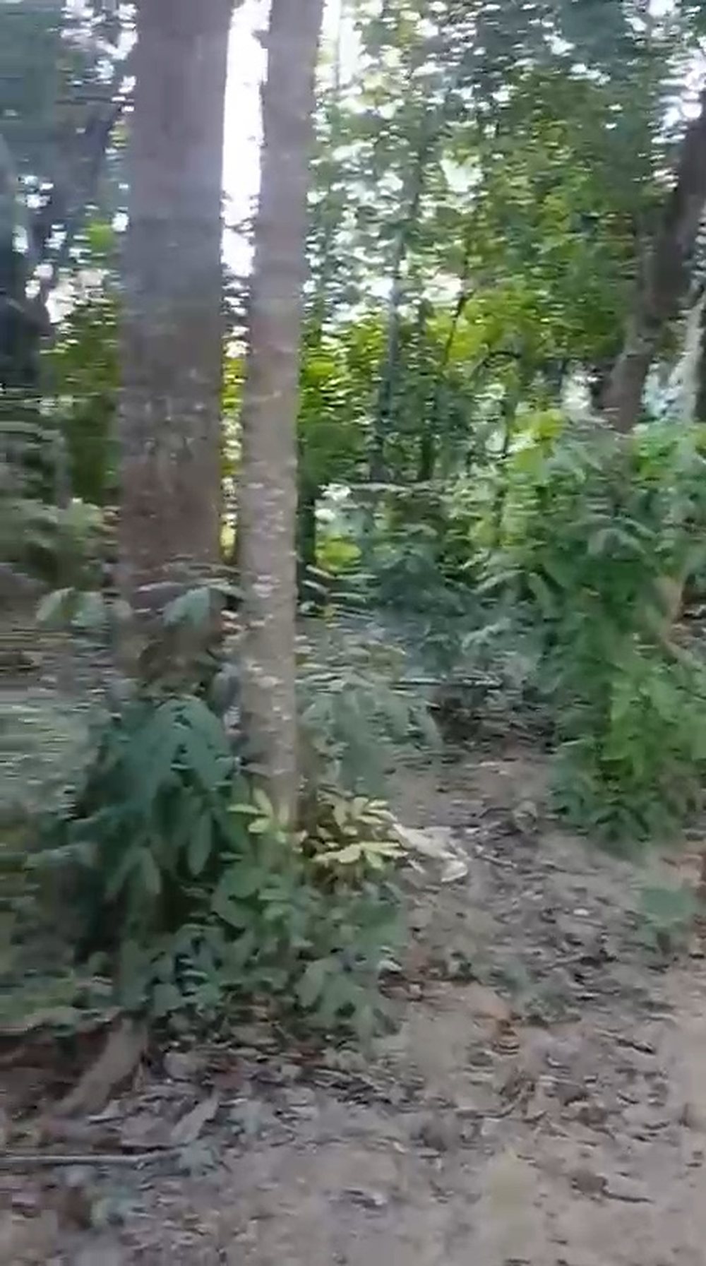 Leasehold Land in Merendeng, Kuta — 20 Are