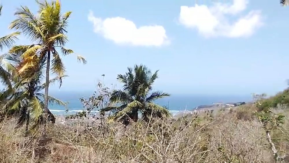 Ocean-View Freehold Land in Torok — 44 Are